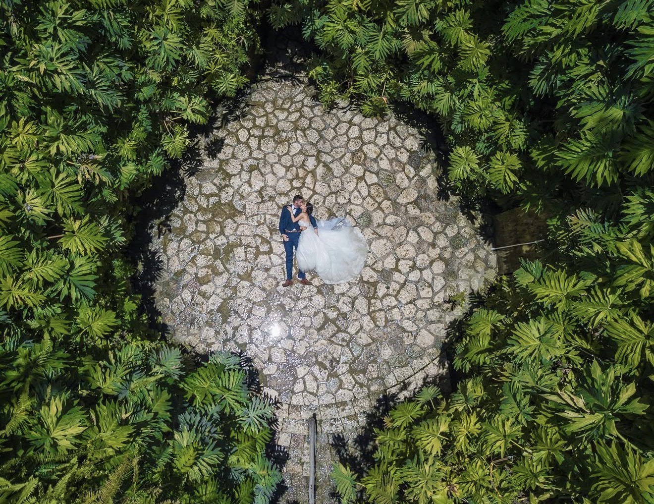 Vista aérea de novios en un jardín circular rodeado de vegetación
